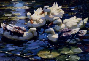 Five Ducks In A Pond by Willem Koekkoek - Oil Painting Reproduction