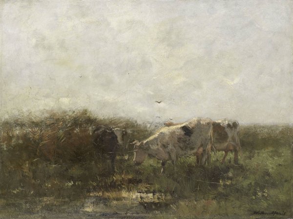 Koeien  by Willem Maris - Hand-Painted Oil Painting Reproduction