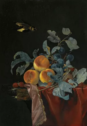 A Still Life With Peaches, Raspberries And Damsons On A Partially Covered Marble Ledge, A Bird Flying Above by Willem Van Aelst Oil Painting
