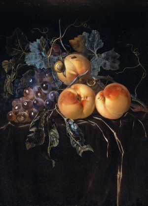 Still Life with Peaches and Grapes by Willem Van Aelst Oil Painting