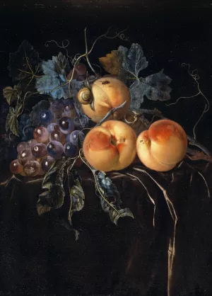 Still Life with Peaches and Grapes by Willem Van Aelst Oil Painting