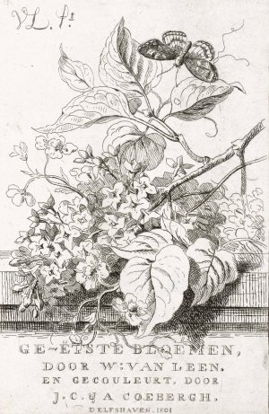 Bloemenstudie met vlinder by Willem Van Leen Oil Painting