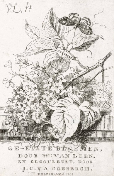 Main Product Photo of Bloemenstudie met vlinder  Painting by Willem Van Leen