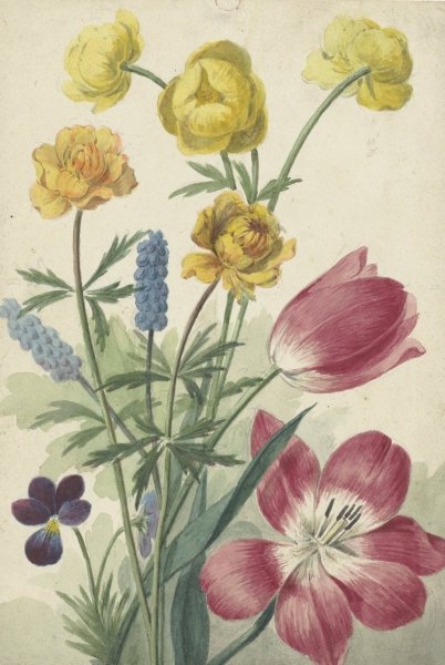 Main Product Photo of Boeket van tulpen, viooltjes, blauwe druifjes en dotters  Painting by Willem Van Leen