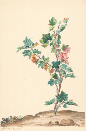 Een kruisbes in een landschap by Willem Van Leen Oil Painting