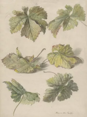 Studies van wingerdbladen by Willem Van Leen Oil Painting