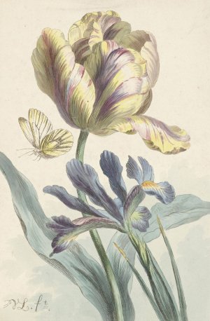 Tulp en iris by Willem Van Leen Oil Painting