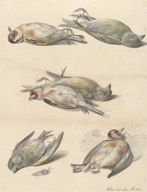 Zes dode vogeltjes by Willem Van Leen Oil Painting