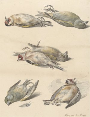 Zes dode vogeltjes by Willem Van Leen Oil Painting