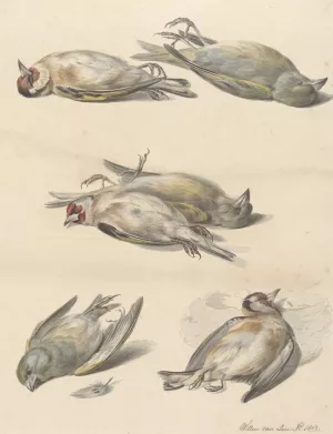 Zes dode vogeltjes by Willem Van Leen Oil Painting