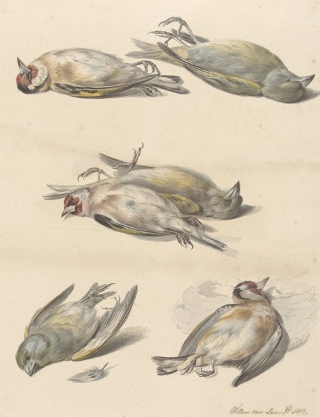 Main Product Photo of Zes dode vogeltjes  Painting by Willem Van Leen