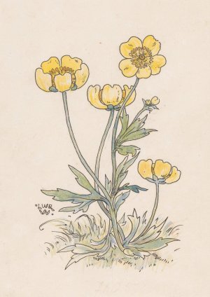Boterbloemen by Willem Wenckebach Oil Painting