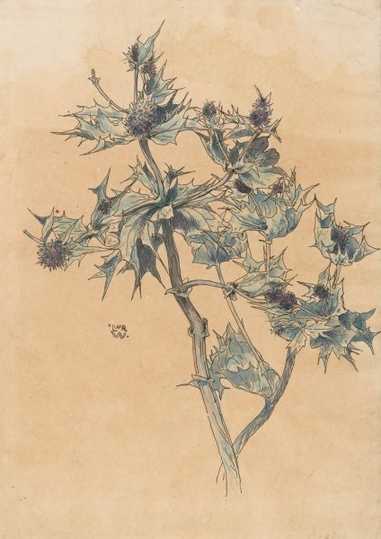 Main Product Photo of Distels  Painting by Willem Wenckebach