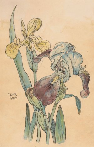 Iris by Willem Wenckebach Oil Painting