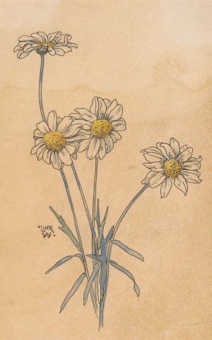 Witte margrieten by Willem Wenckebach Oil Painting