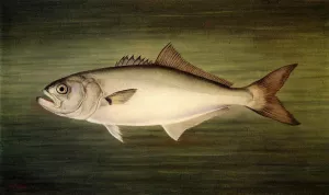 Blue Fish by William Aiken Walker - Oil Painting Reproduction