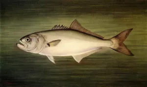 Blue Fish Oil painting by William Aiken Walker