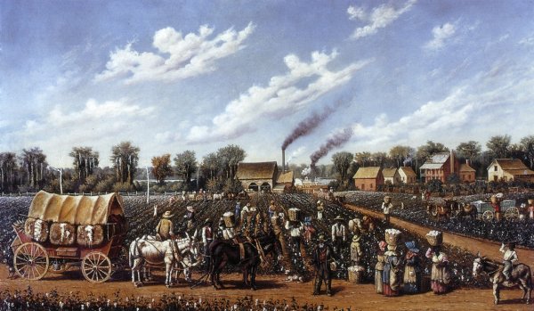 Main Product Photo of Cotton Plantation on the Mississippi Painting by William Aiken Walker
