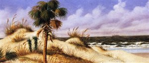 Florida Seascape with Sand Dune, Palm Tree, and Steamship