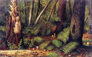 Forest with Ferns and Mushrooms painting by William Aiken Walker