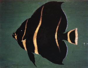 Juvenile Angel Fish Oil painting by William Aiken Walker