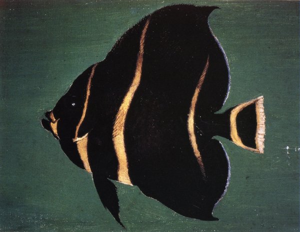Juvenile Angel Fish by William Aiken Walker - Hand-Painted Oil Painting Reproduction