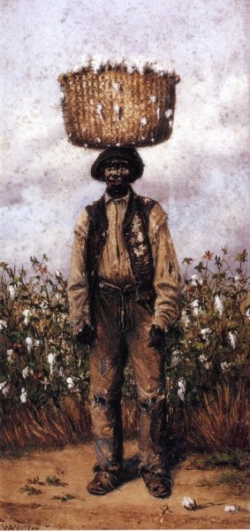 Negro Man in Cotton Field with Basket of Cotton on Head