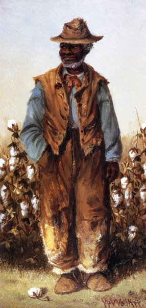 Negro Man in Cotton Field