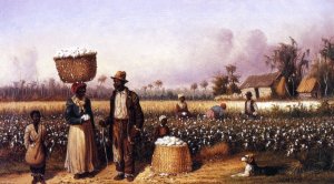 Negro Workers in Cotton Field with Dog