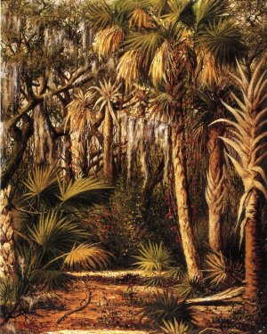Palm Hammock with Epiphytes by William Aiken Walker Oil Painting