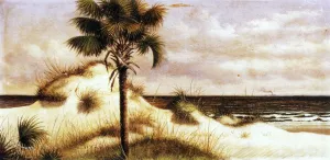 Sand Dunes, Palmetto Sabal and Steamboat Oil painting by William Aiken Walker