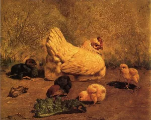 Hen and Chicks Oil painting by William Baptiste Baird