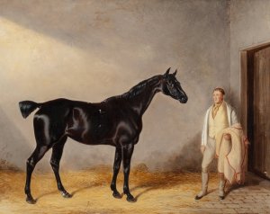 A dark bay hunter with a groom in a stable by William Barraud Oil Painting