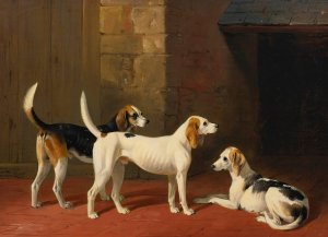 Three Fox Hounds In A Paved Kennel Yard by William Barraud Oil Painting