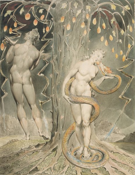 Main Product Photo of The Temptation and Fall of Eve  Painting by William Blake