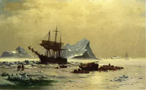 Among the Ice Floes by William Bradford - Oil Painting Reproduction