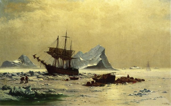 Main Product Photo of Among the Ice Floes Painting by William Bradford