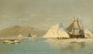Off Greenland—Whaler Seeking Open Water by William Bradford Oil Painting