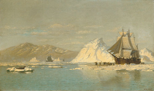 Off Greenland - Whaler Seeking Open Water by William Bradford - Hand-Painted Oil Painting Reproduction