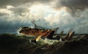 Shipwreck off Nantucket Wreck off Nantucket after a Storm by William Bradford - Oil Painting Reproduction
