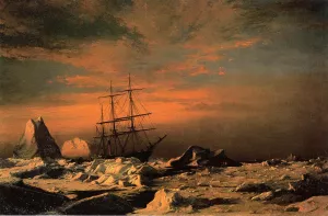 The 'Panther' Among the Icebergs in Melville Bay by William Bradford - Oil Painting Reproduction