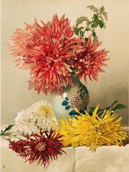 Chrysanthemums  by William Duffield - Hand-Painted Oil Painting Reproduction