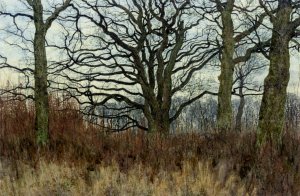 Woodland Scene at Twilight by William Fraser Garden Oil Painting