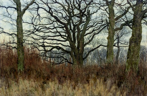 Woodland Scene at Twilight by William Fraser Garden - Hand-Painted Oil Painting Reproduction