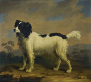 A black and white spaniel in a landscape by William Greene Junior Oil Painting