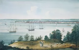 The Bay of New York Taken from Brooklyn Heights painting by William Guy Wall