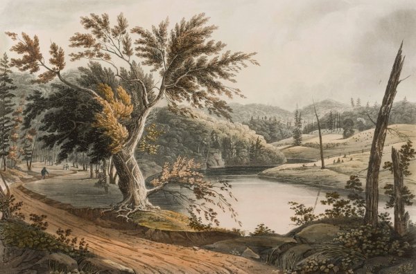 View near Jessup's Landing  by William Guy Wall - Hand-Painted Oil Painting Reproduction