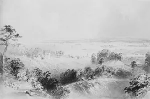View of the Bay and Harbor of New York, from Gowanus Heights, Brooklyn by William Henry Bartlett Oil Painting