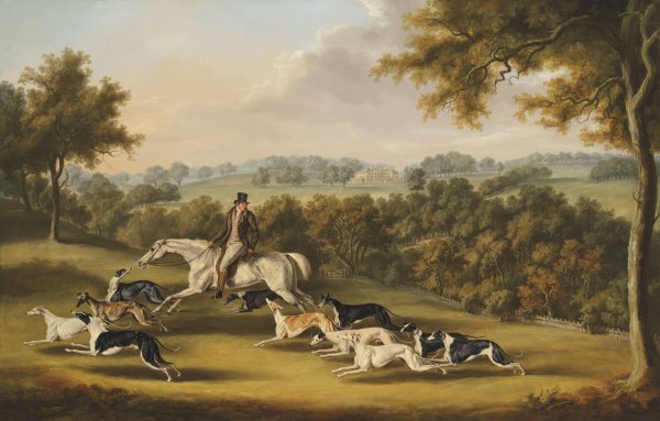 Colonel Newport Charlett's Favourite Greyhounds, at Hanley Court, Worcestershire by William Henry Davis - Hand-Painted Oil Painting Reproduction