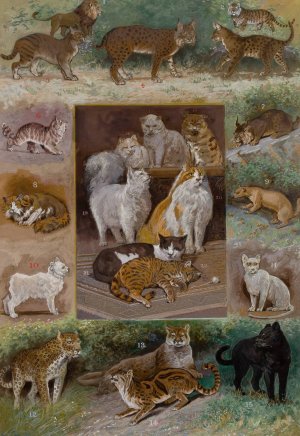Felines by William Henry Drake Oil Painting